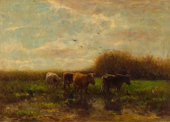Cows at Evening